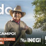 INEGI. 8-100