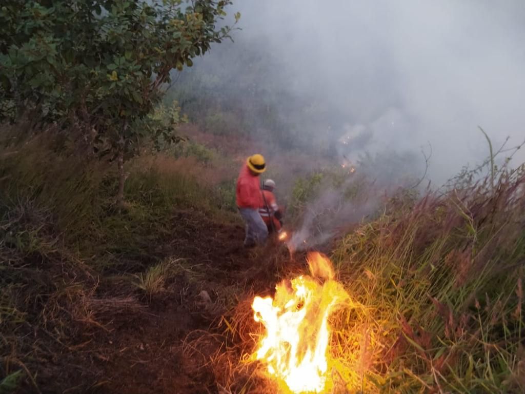 Trabajo conjunto mitiga incendio en el Cerro de San Juan: Miguel Ángel ...