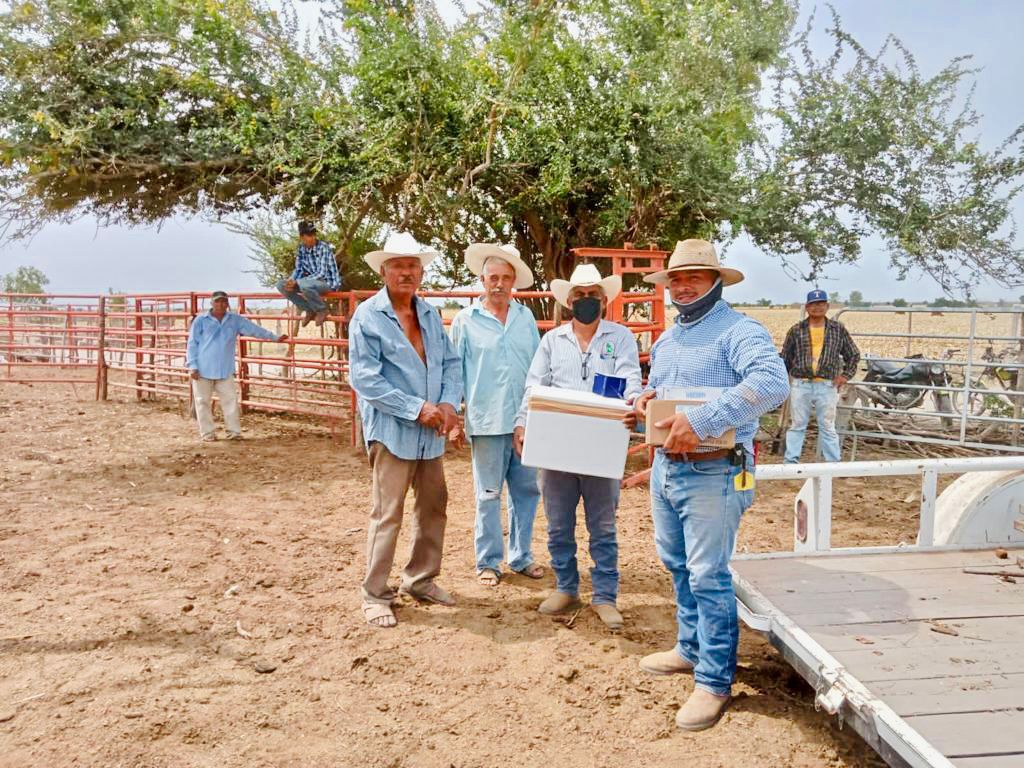 “Nayarit no volverá a ser jamás el almacén del ganado enfermo del país