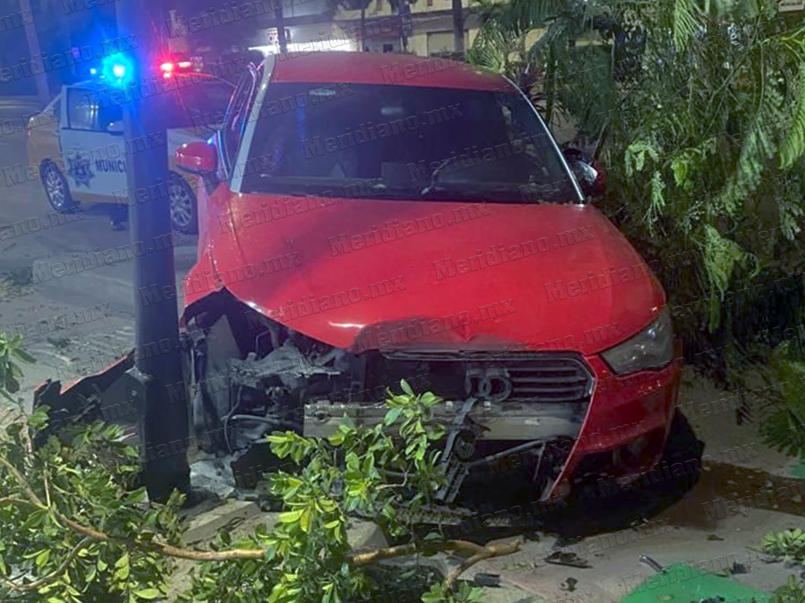 Audi chocó contra árboles y un poste | Meridiano.mx