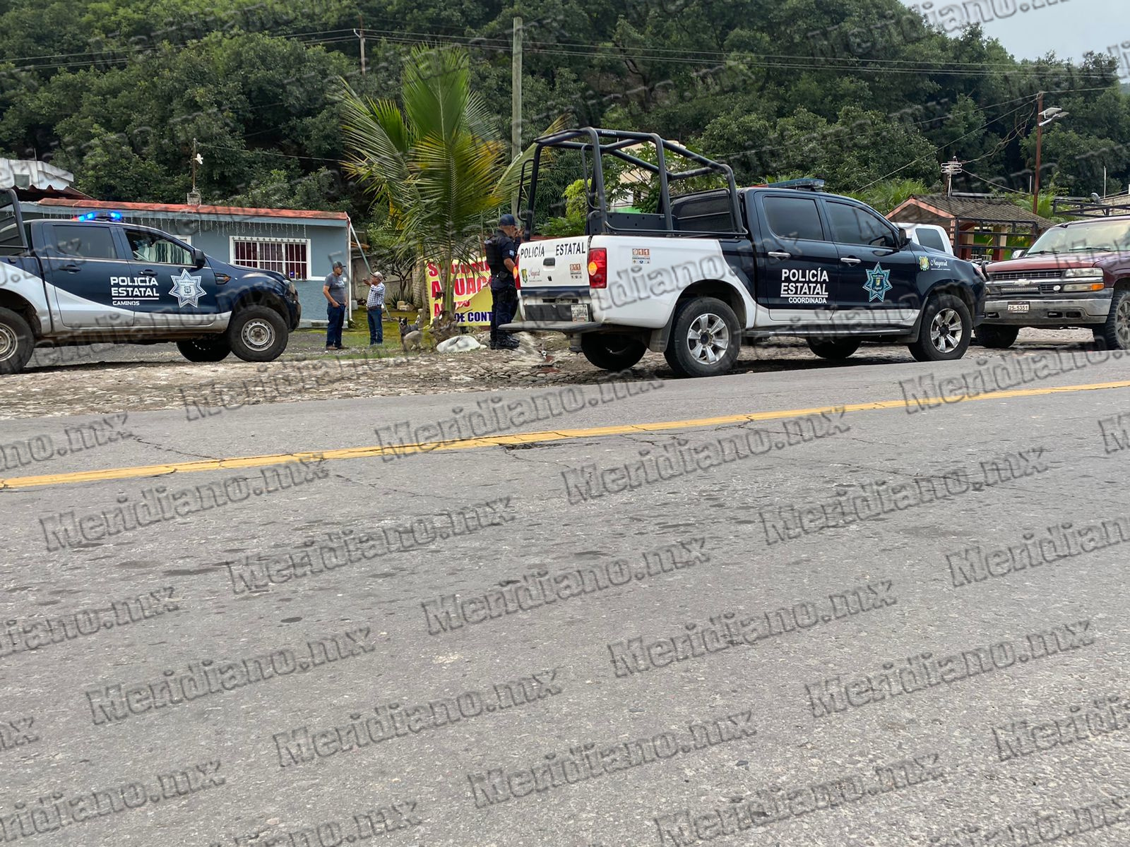 Hombre fallece tras caer de un árbol en Xalisco; autoridades investigan ...