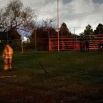 Photo_1727058838973