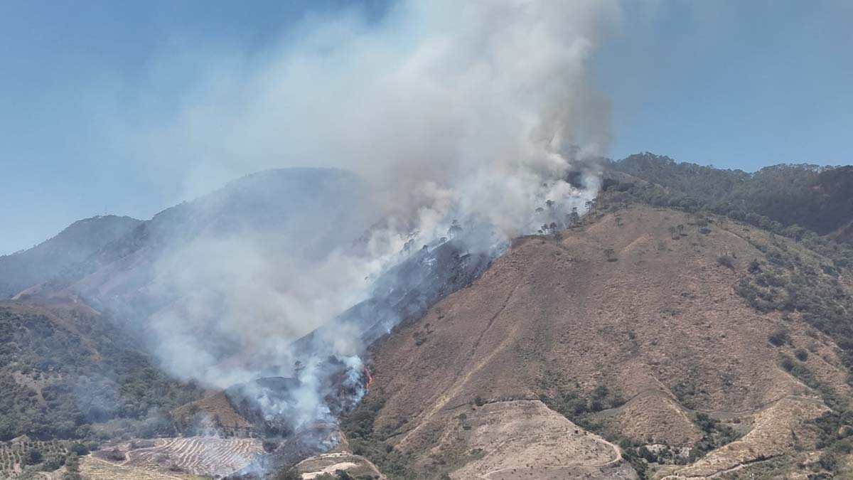 Incendio en el cerro de San Juan activa alerta forestal | Meridiano.mx